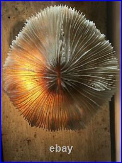 Coral Corded Mushroom Vintage Lamp multi caps wood base