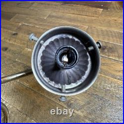 MCM Vtg Lily Pad Table Lamp Triple Flower Gooseneck Ruffled Hobnail Glass Shades