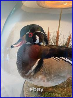 RARE vintage Mallard Duck Lamp withclear glass 3way lighting, lodge cabin cottage