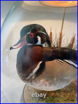 RARE vintage Mallard Duck Lamp withclear glass 3way lighting, lodge cabin cottage