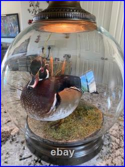 RARE vintage Mallard Duck Lamp withclear glass 3way lighting, lodge cabin cottage