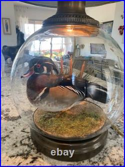 RARE vintage Mallard Duck Lamp withclear glass 3way lighting, lodge cabin cottage