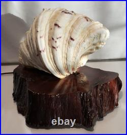 Vintage California redwood & seashell table lamp