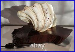 Vintage California redwood & seashell table lamp