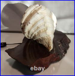 Vintage California redwood & seashell table lamp