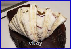 Vintage California redwood & seashell table lamp