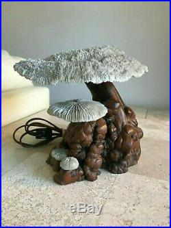 Vintage Coral Mushroom Lamp Cypress Wood Real Coral