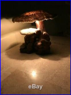 Vintage Coral Mushroom Lamp Cypress Wood Real Coral