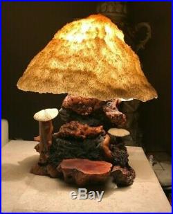 Vintage Coral Mushroom Lamp -Cypress Wood -Touch Sensor Magic Mushroom Lamp Co