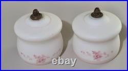 Vintage Dual Arm Brass Parlor / Table Lamp Hand Painted Floral Glass Shades