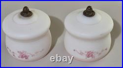 Vintage Dual Arm Brass Parlor / Table Lamp Hand Painted Floral Glass Shades