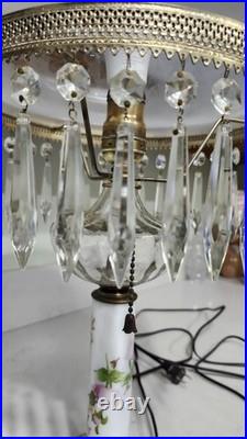 Vintage Hand Painted Roses Domed Glass Table Lamp