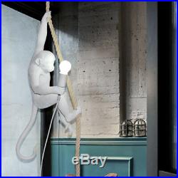 Vintage Industrial Resin Hemp Rope Monkey Wall Pendant Light Floor Table Lamp