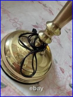 Vintage Pink Floral Panel Shade Table Lamp Brass Finish Pull Chain Corded