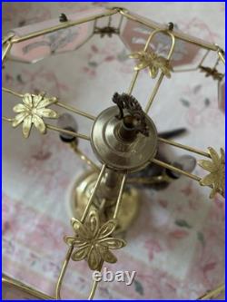 Vintage Pink Floral Panel Shade Table Lamp Brass Finish Pull Chain Corded