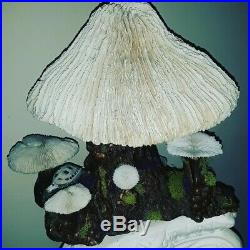 Vintage Retro Magic Mushroom Coral Top Driftwood Lamp, Folk Art