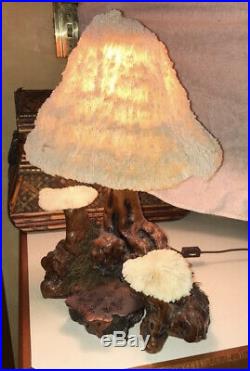 Vintage Retro Trippy Large Magic Mushroom Coral Top Table Driftwood Lamp