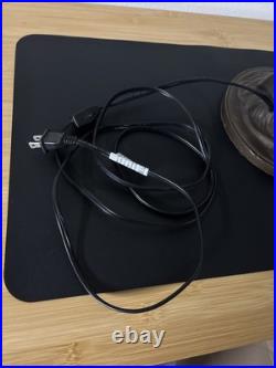 Vintage Rustic Tree Branch Table Lamp Cast Metal Bronze Vintage Rustic Tree Branch Table Lamp Cast Metal Bronze