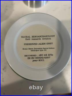 Xemu Xeno Preserved Alien Grey Lamp 2001 Vintage Spencer Gifts Collectible